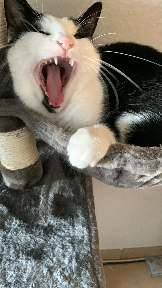 Bild hochgeladen von Jason