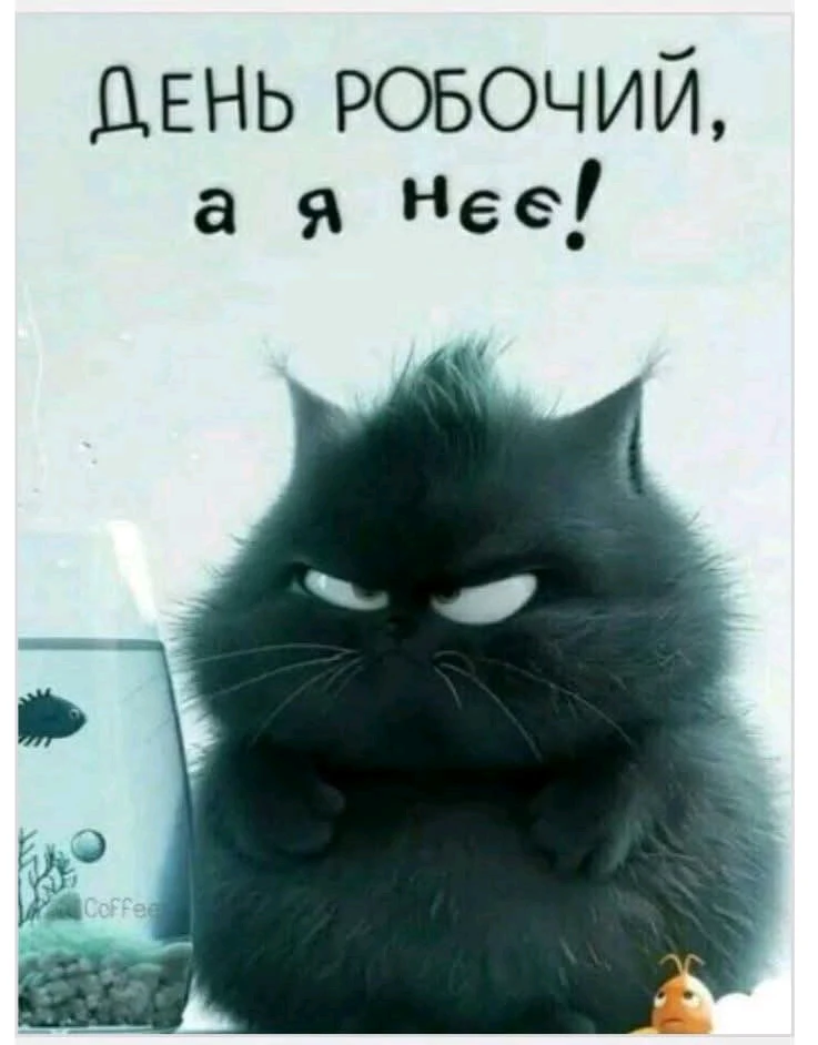 Гіфку завантажив Ярися