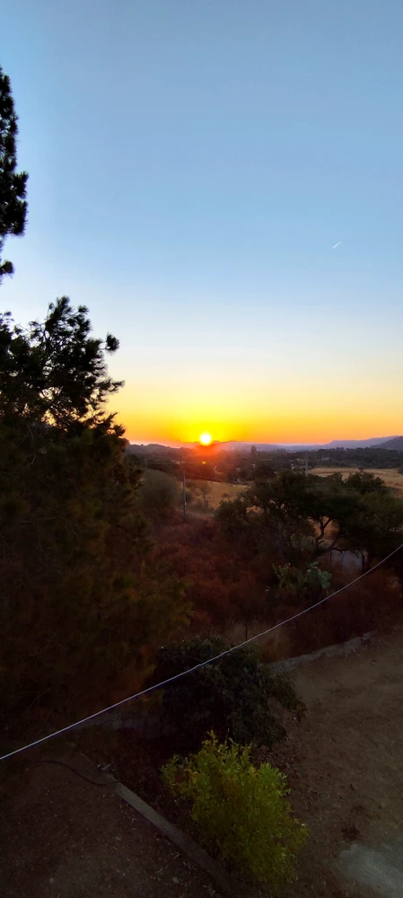 Immagine caricata da Nanaki