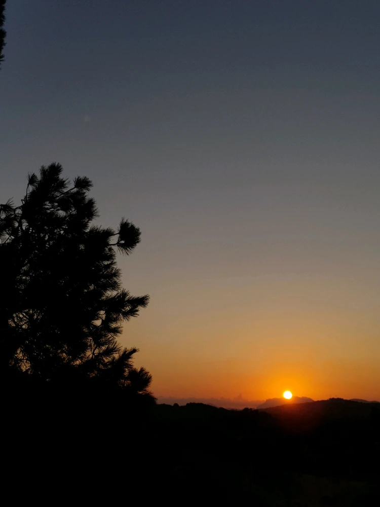 Immagine caricata da Nanaki