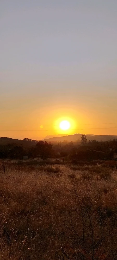 Immagine caricata da Nanaki