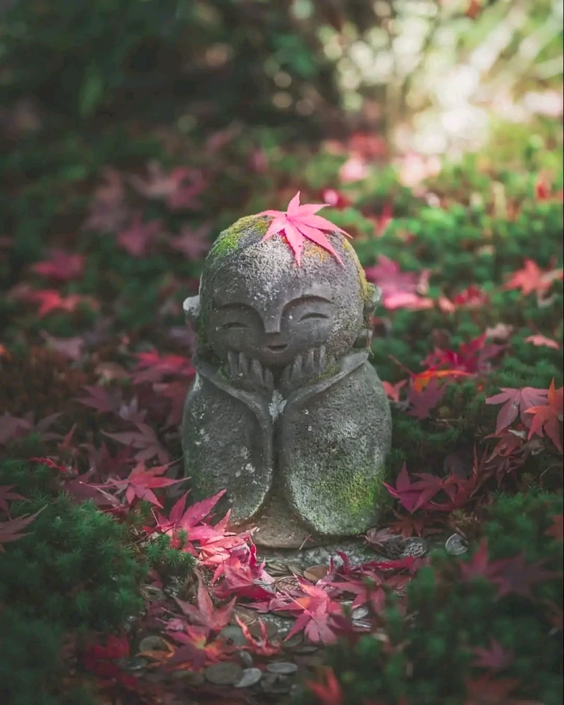 GIF ajouté par Stef