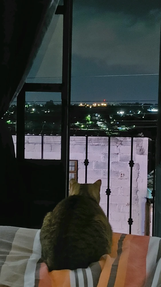 GIF uploaded by ❤ Sophia aka Mango Mami ❤️