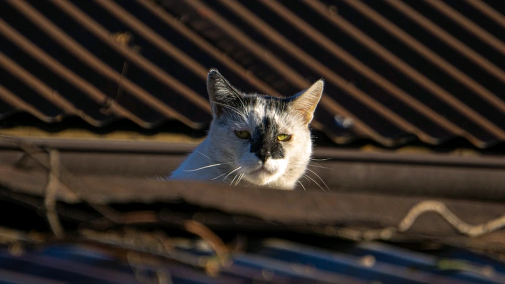 GIF uploaded by Mike