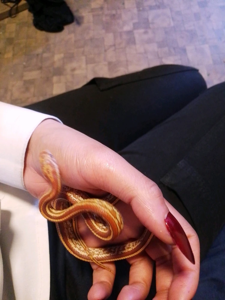 GIF enviado por Emily