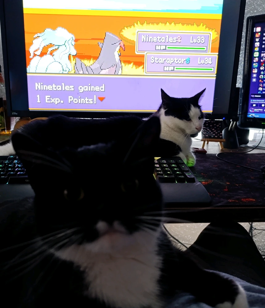 GIF hochgeladen von Jason