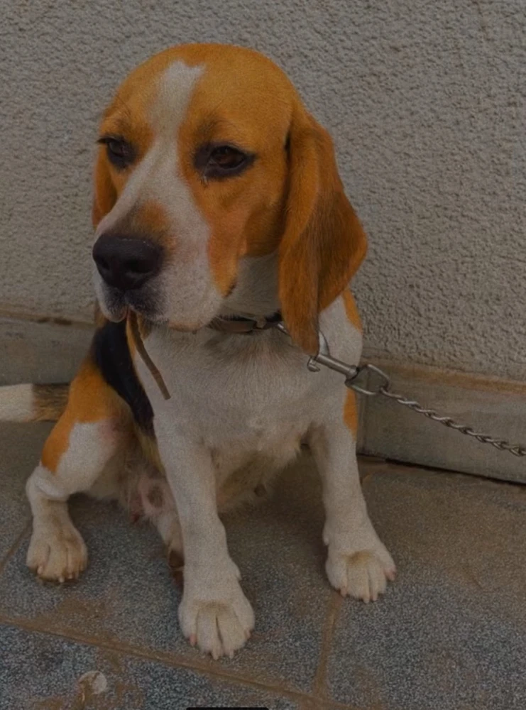 Nishant द्वारा अपलोड किया गया GIF