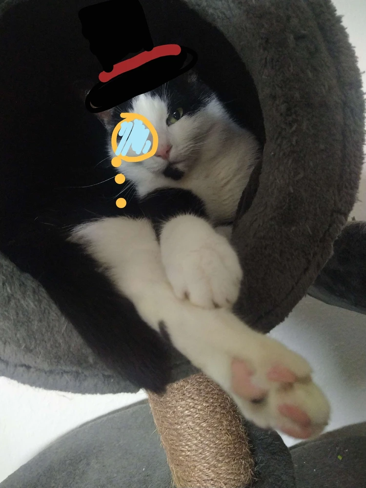 GIF hochgeladen von Jason