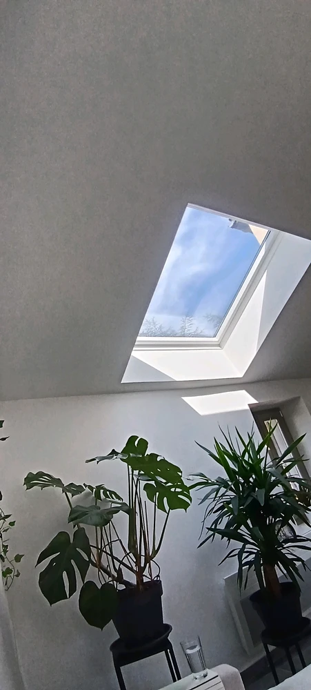 Image ajoutée par Saffiya