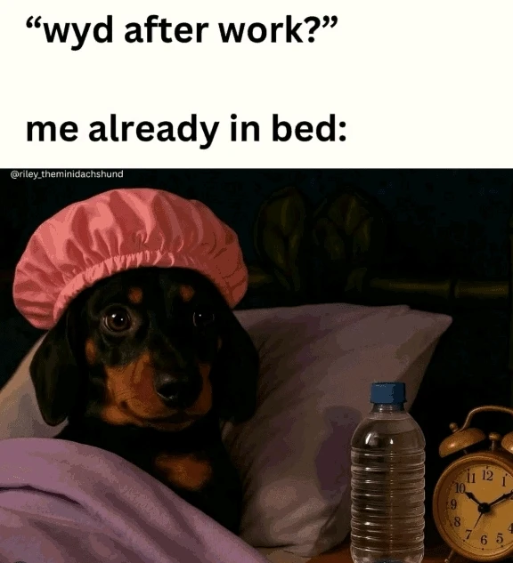 GIF uploaded by 《🌹.::Lenöré::.🌹》