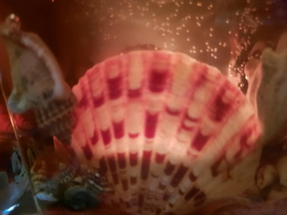 GIF dodany przez Sueñoelespacio