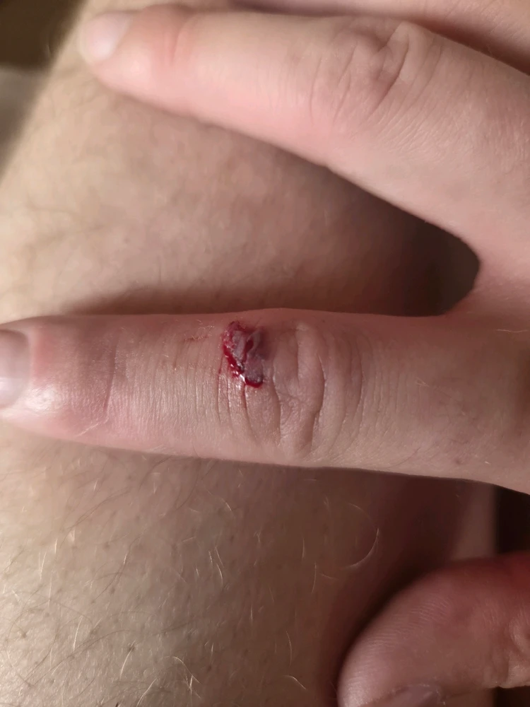 GIF nahrál Tomáš (Chlupčis)