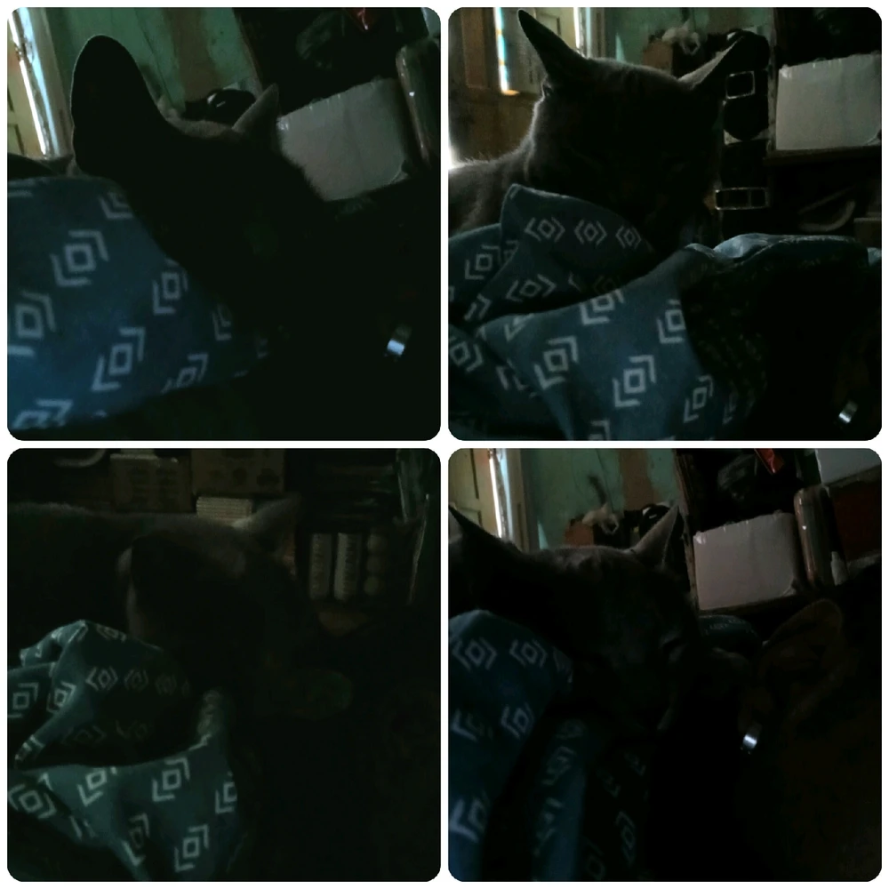 GIF enviado por Santos