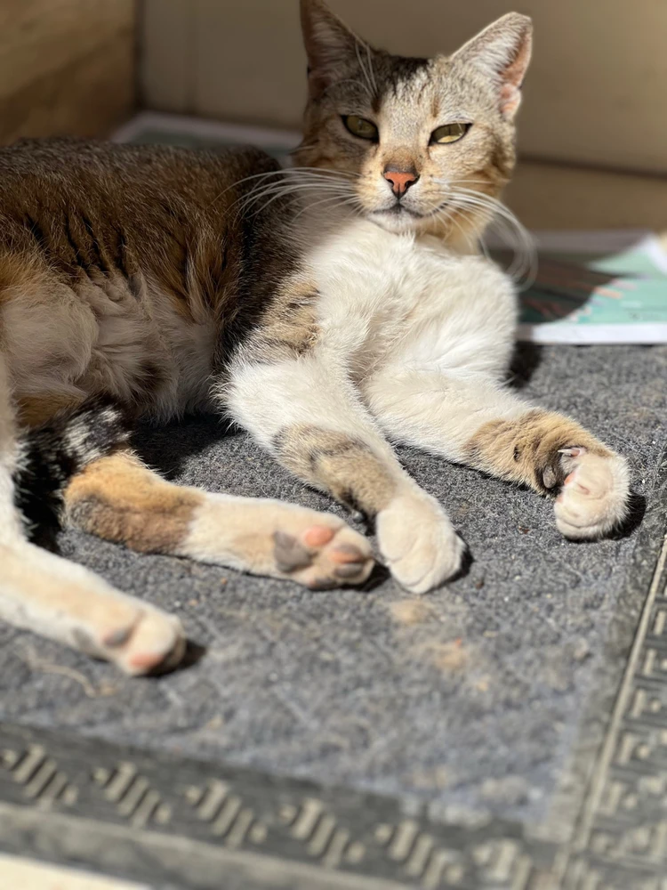 GIF ανέβηκε από Σπύρος