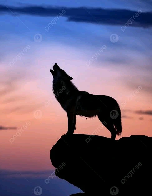 GIF subido por Alfonso