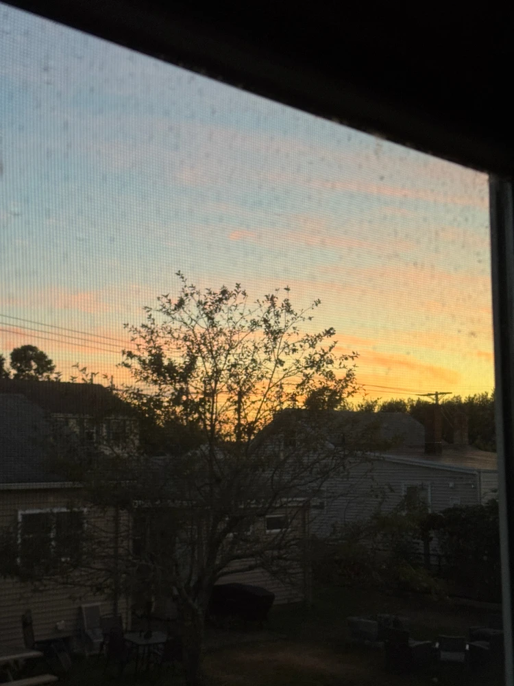 GIF uploaded by Tom