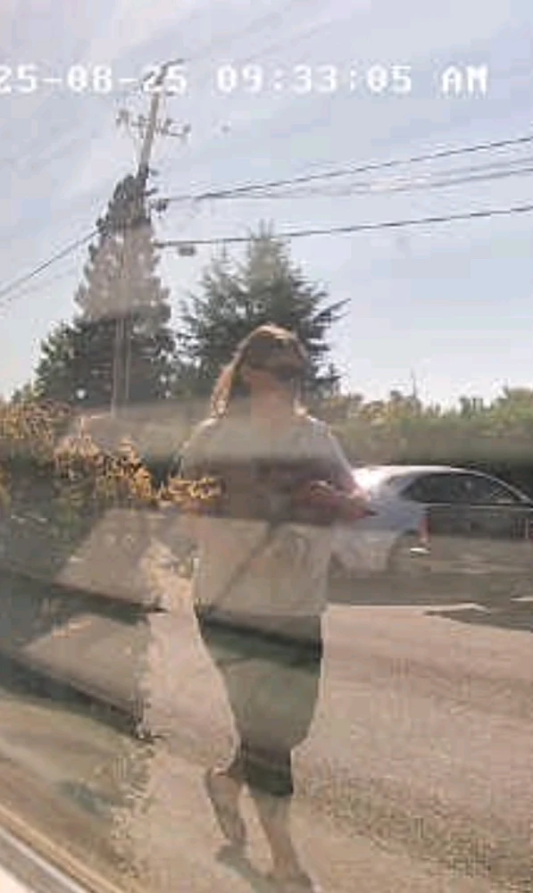 GIF uploaded by Adorable Dork