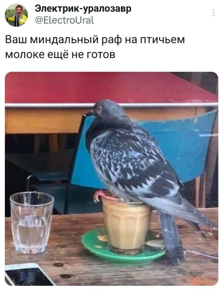 🕊️☕️💩🧋