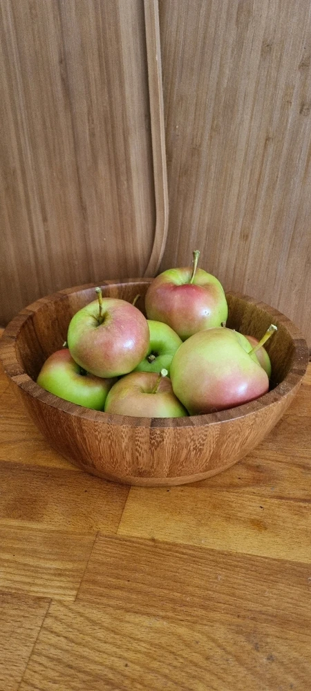 Feral Apples. Not really a type of apple, the term refers to an apple tree that appears to have grown from a discarded core.