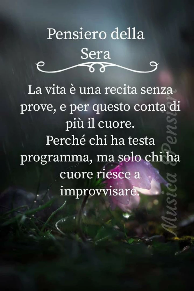 GIF caricata da Diego