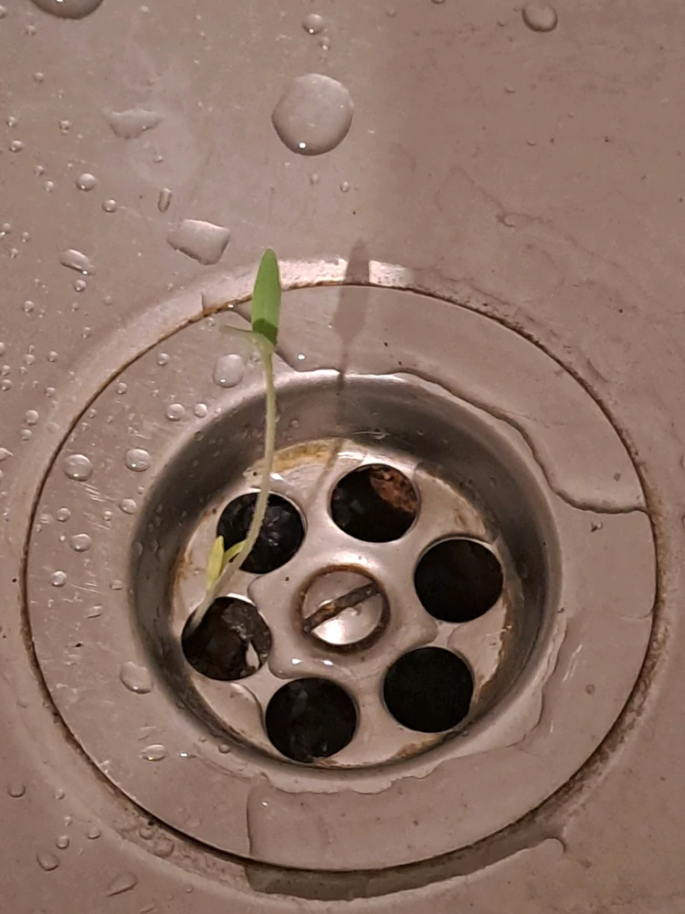 GIF hochgeladen von Michael