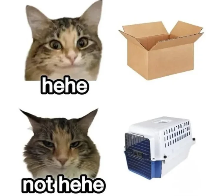 Image uploaded by Tomáš