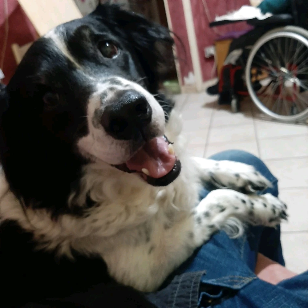 GIF caricata da Thomas