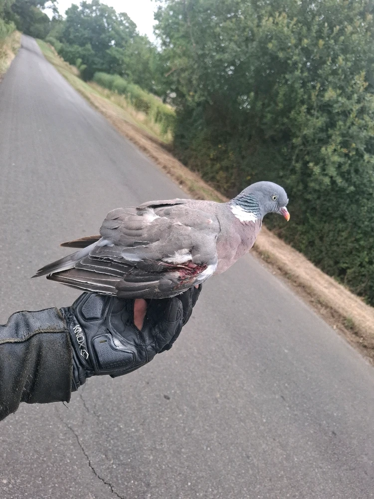 GIF diunggah dening • Bill •