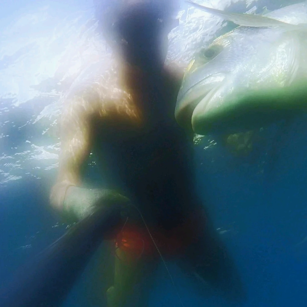 GIF uploaded by Aquarius®