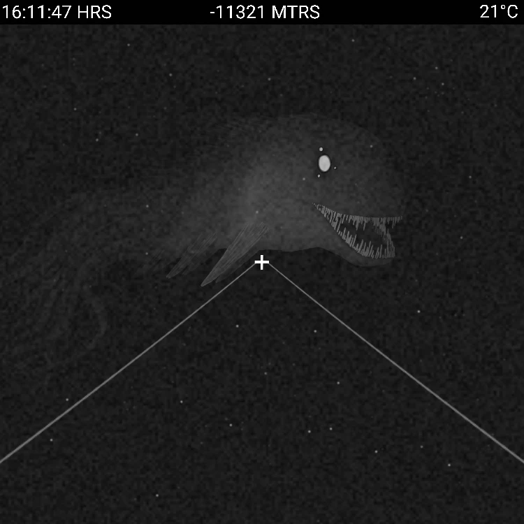 Image uploaded by Zachary Trent