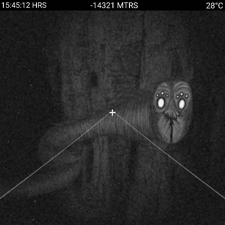 Image uploaded by Zachary Trent