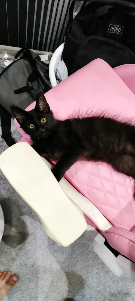 Фото загрузил Ilya