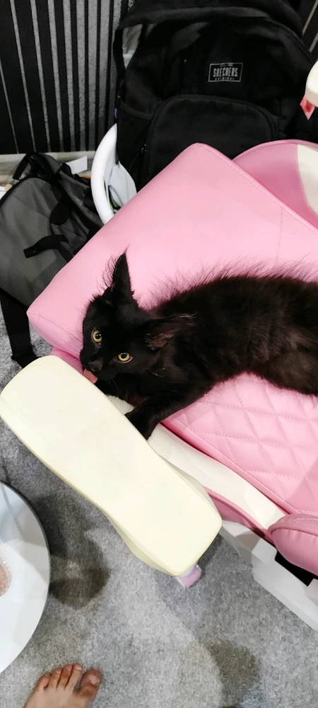 Фото загрузил Ilya