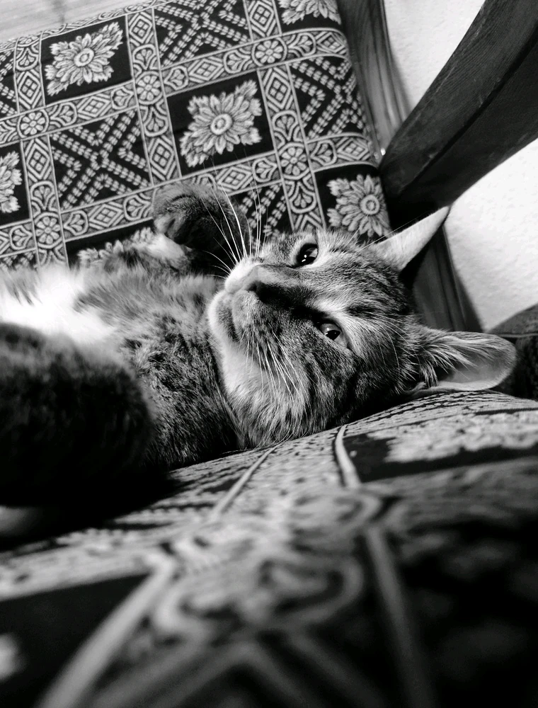 Paint me like your French girls.