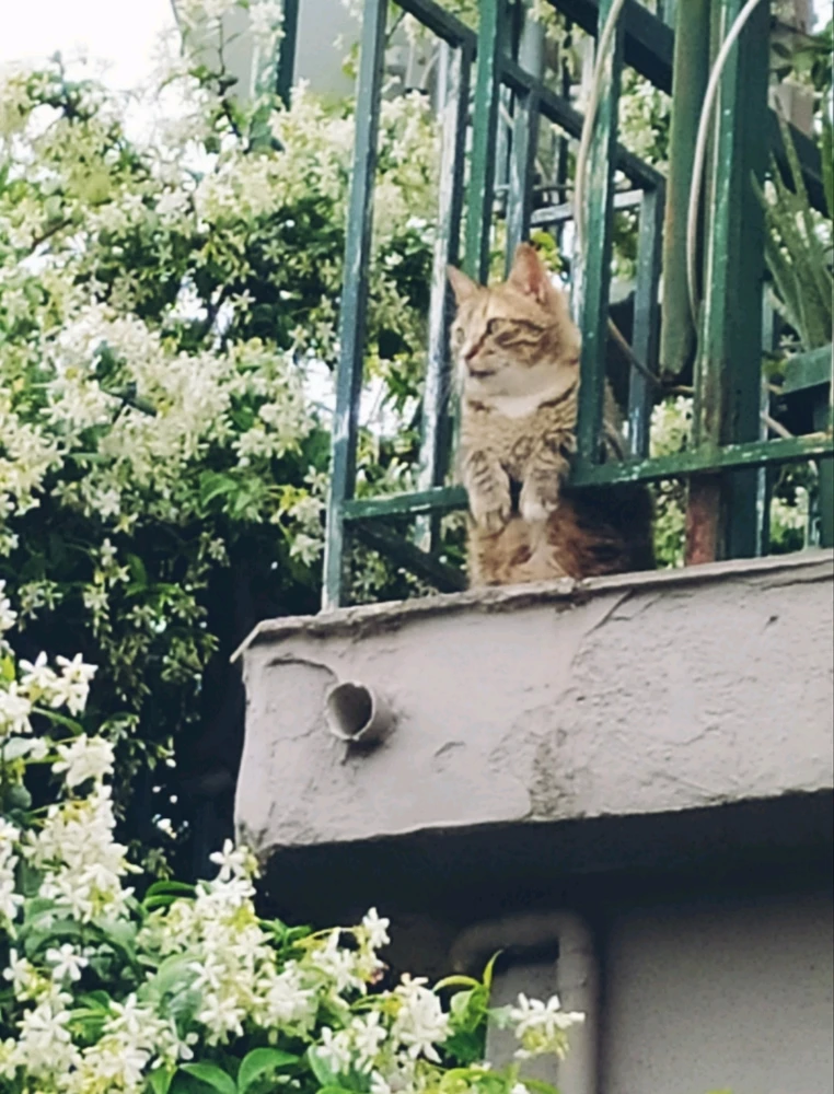 Always watching... 👀👀👀