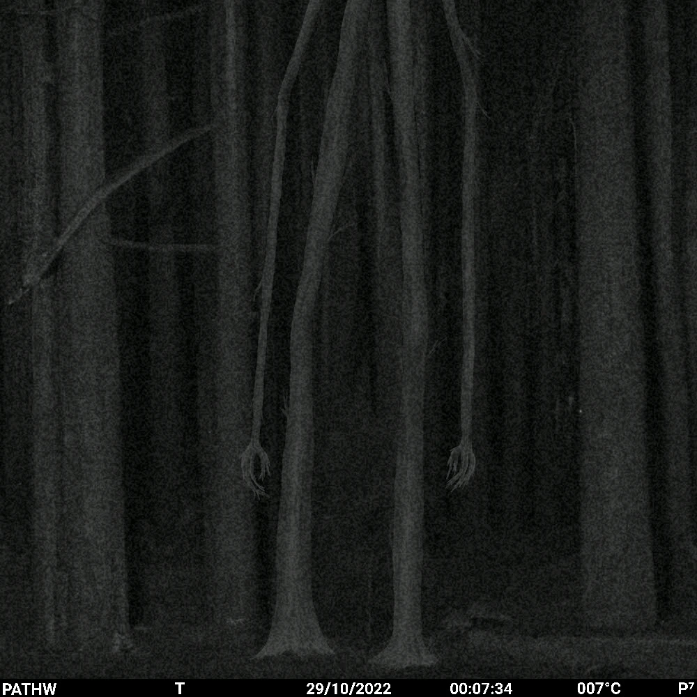 GIF uploaded by Zachary Trent
