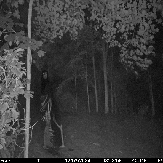 Image uploaded by Zachary Trent