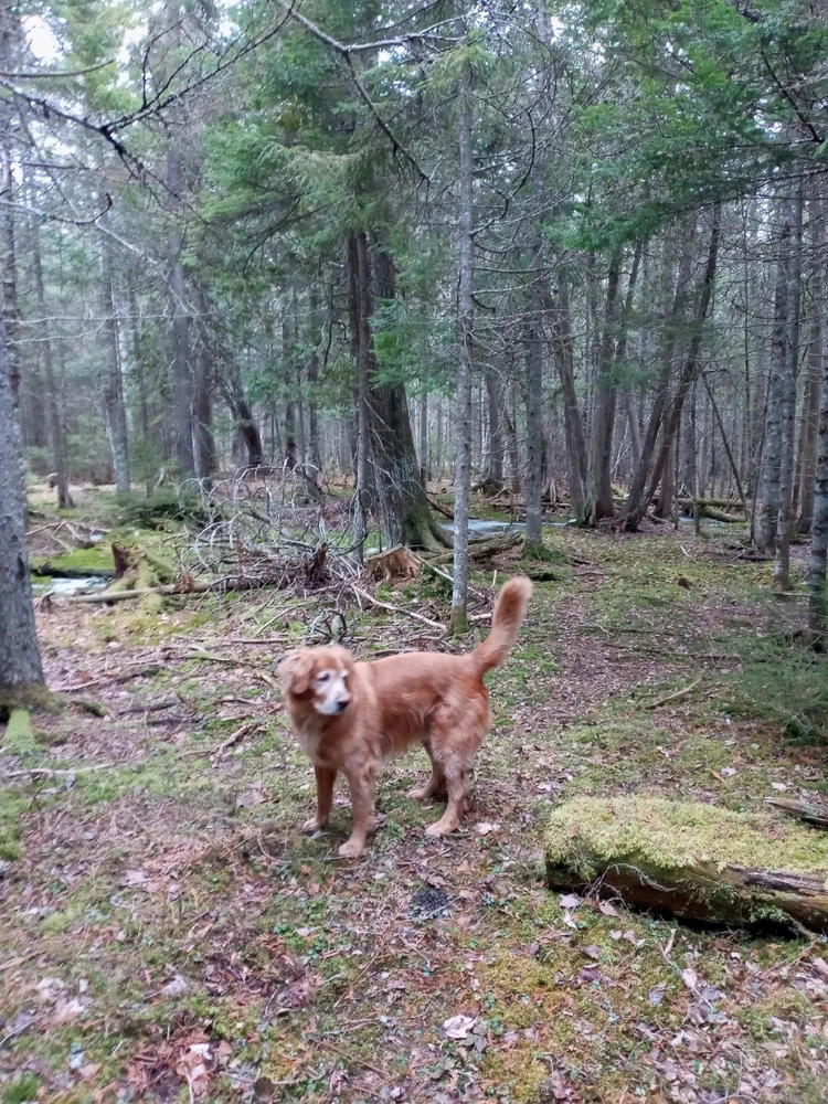 Image uploaded by Brooke