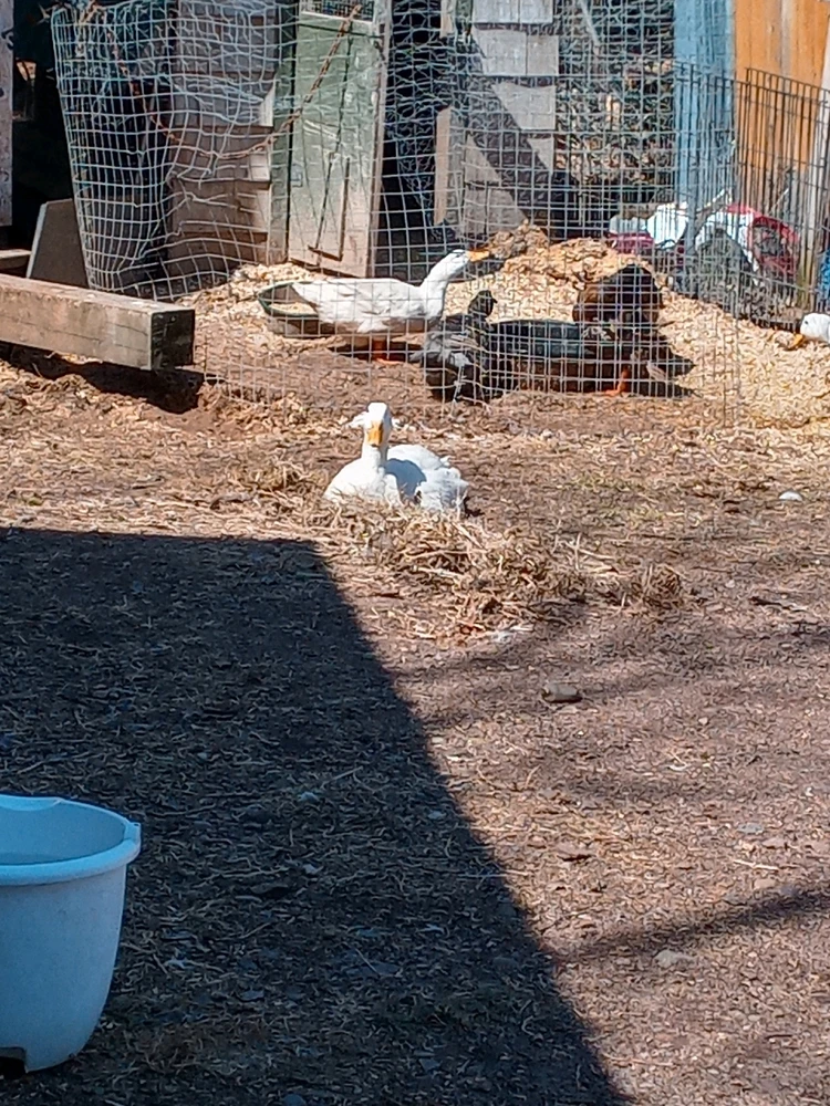 Image uploaded by Brooke