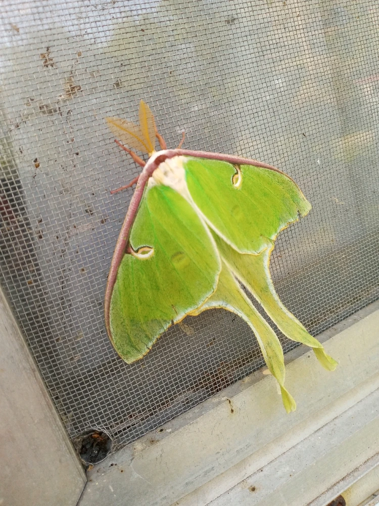 Image uploaded by Brooke