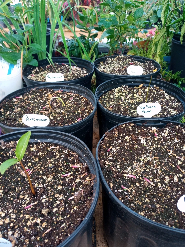 Image uploaded by Brooke