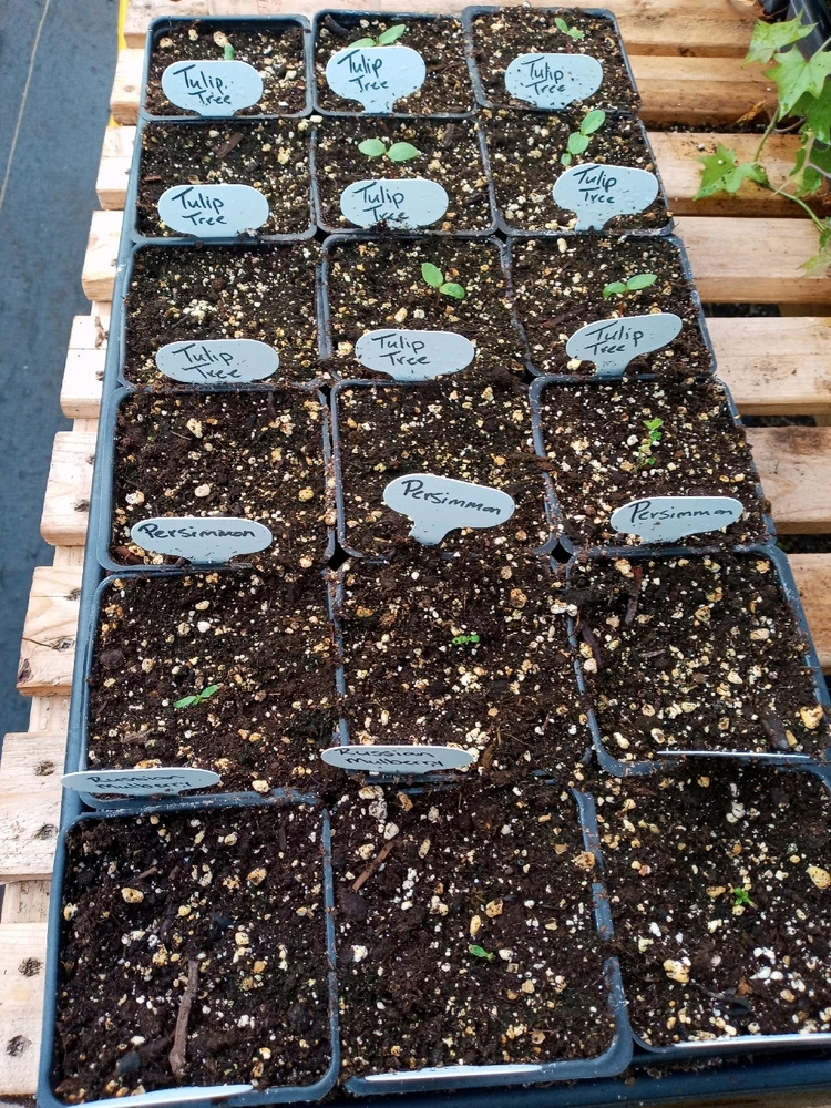 Image uploaded by Brooke