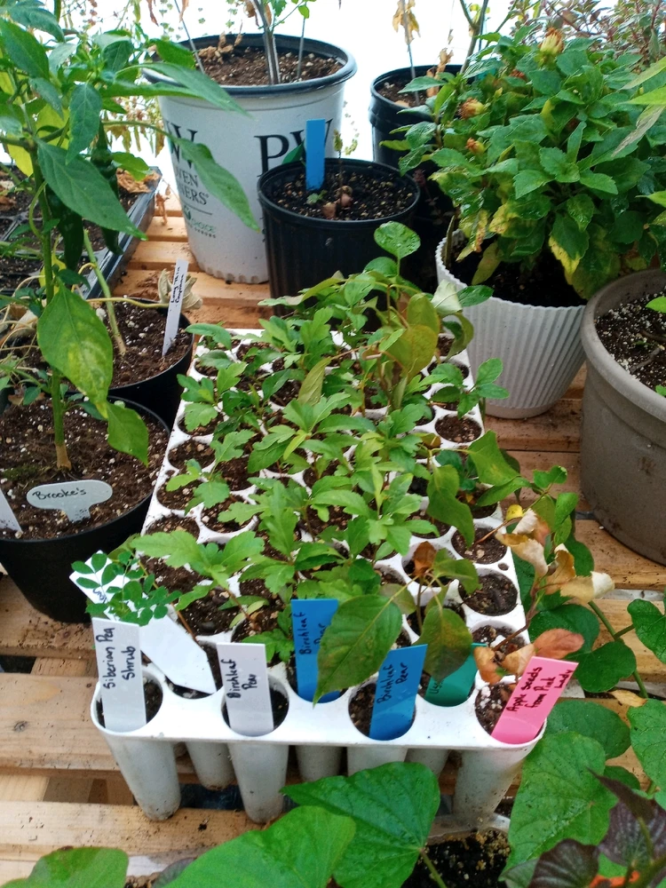 Image uploaded by Brooke