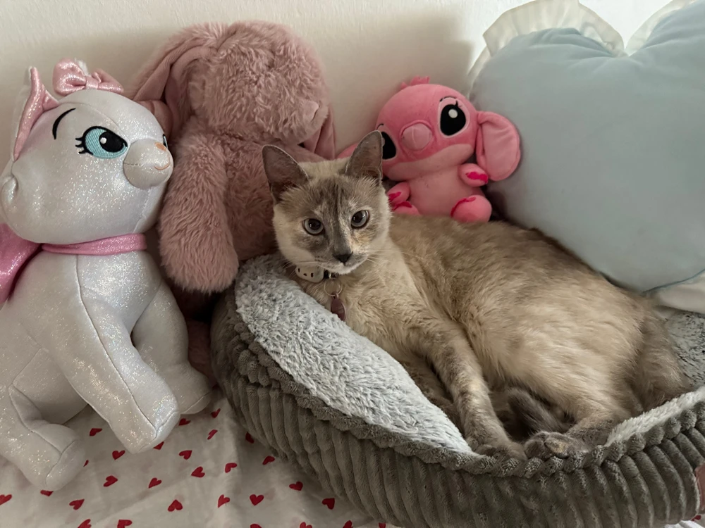 GIF subido por Juanjo