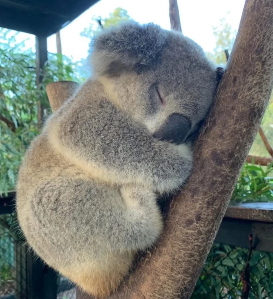 GIF uploaded by Kan*^•^*