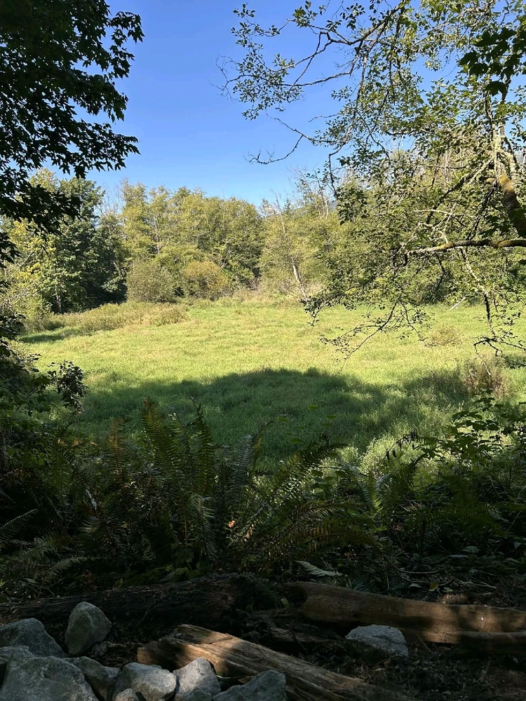 Image uploaded by MayMay