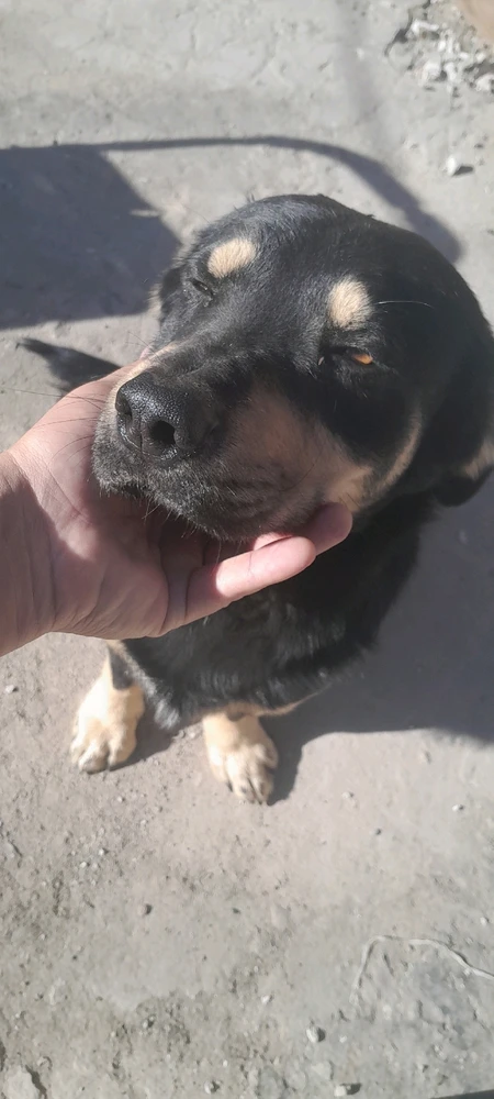 GIF subido por Leandro