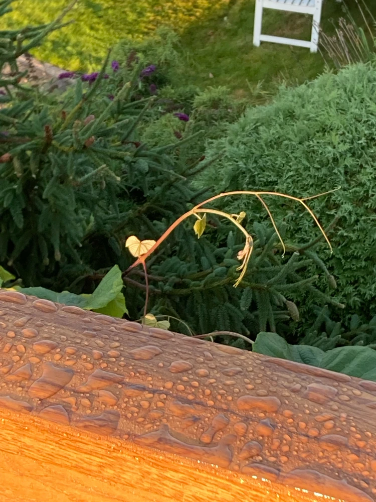 GIF dodany przez Prometheus