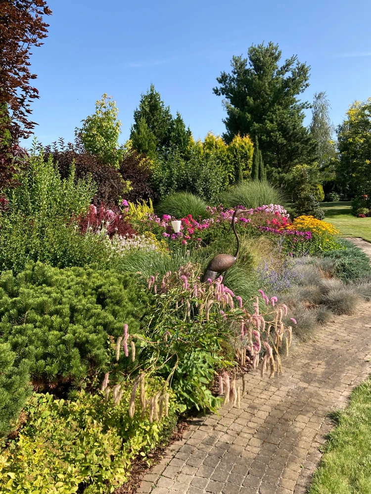 GIF dodany przez Prometheus