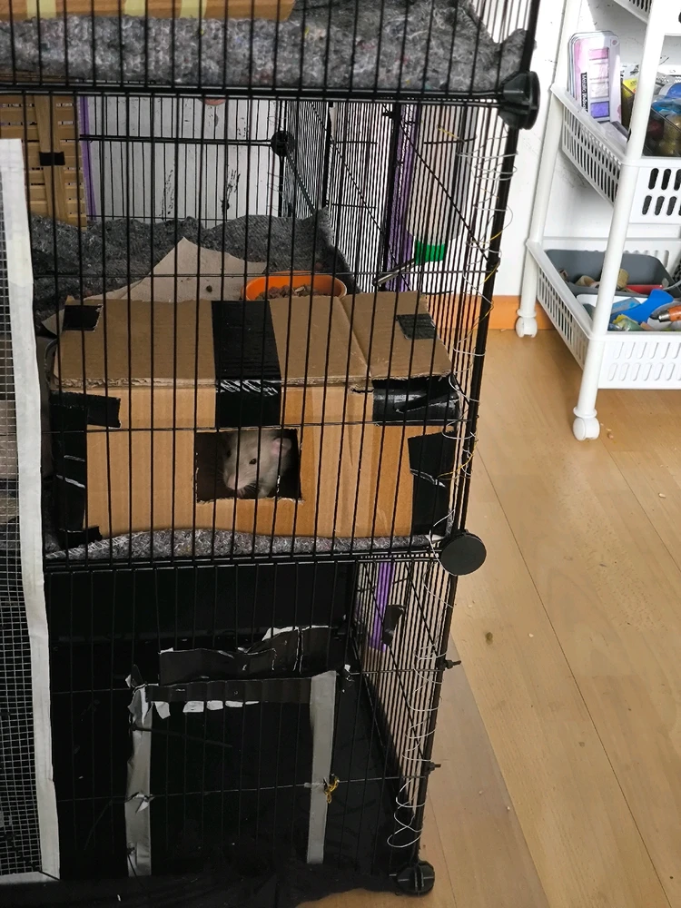 GIF hochgeladen von Luzi